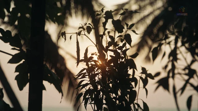 Preview of Tapak Atrangii